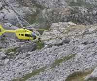 Muere un montañero de 54 años de Zeanuri tras sufrir una caída en Picos de Europa