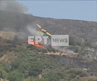 Un hidroavión se estrella en las tareas de extinción de los incendios en la isla griega de Eubea