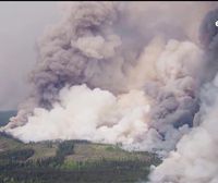 Los incendios forestales inextinguibles se multiplicarán en las próximas décadas, según los expertos