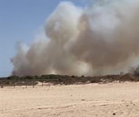 Estabilizado el incendio de Puerto Real (Cádiz) que ha obligado a desalojar a 20 familias 