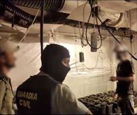 Desmantelan una plantación interior de marihuana en Laukiz dotada de un novedoso método de extracción de calor