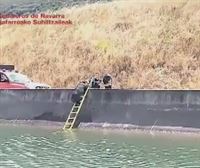 Bomberos rescatan a un jabalí que había caído al Canal de Navarra
