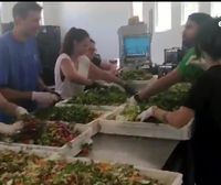 Zaporeak logra renovar la cocina del campamento de Lesbos para responder al aumento de refugiados