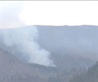 El incendio de Tenerife estabilizado, tras quemar 14 624 hectáreas