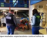 La operación europea contra el tráfico de angulas deja 256 detenidos y 25 toneladas incautadas