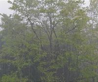 Las intensas lluvias del temporal DANA han llegado a Gipuzkoa