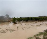 El temporal causa enormes daños en los viñedos de Oyón