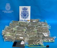 Detenido un pasajero de un autobús en Irun acusado de transportar en sus maletas 19 kilos de marihuana