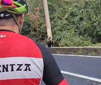 Cuatro ciclistas de Karrantza se topan con un oso en plena ruta por Rumanía