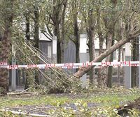 El temporal de viento provoca en Bizkaia cerca de 200 actuaciones
