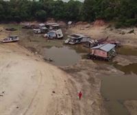 El cambio climático fue el principal impulsor de la sequía en la Amazonía en 2023